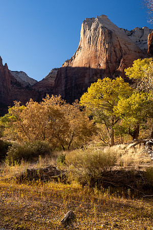 Zion National Park 2024