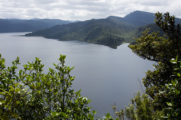 New Zealand 2013
