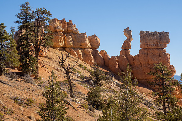 Bryce Canyon National Park 2022