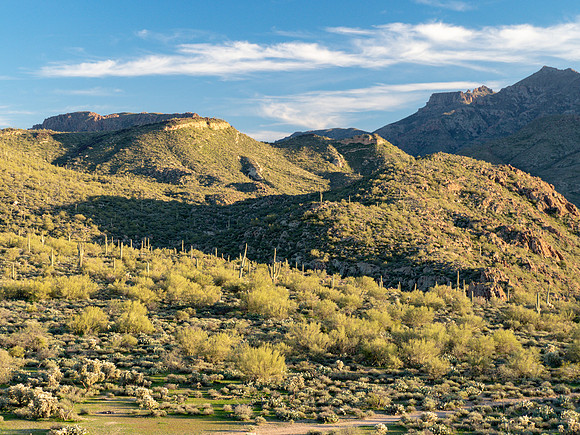 Arizona 2019
