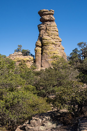 Arizona 2024