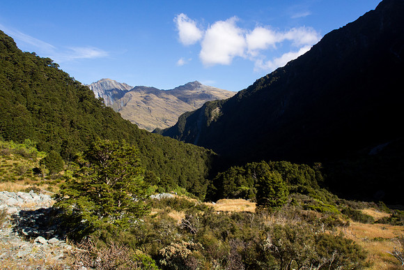 New Zealand 2013