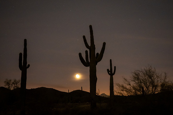 Arizona 2021