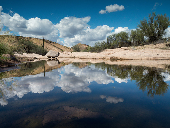 Arizona 2018