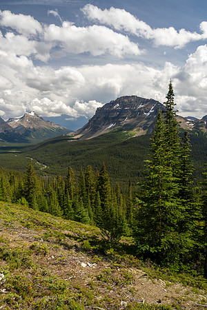 Banff National Park 2025
