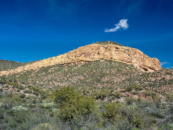 Arizona 2019
