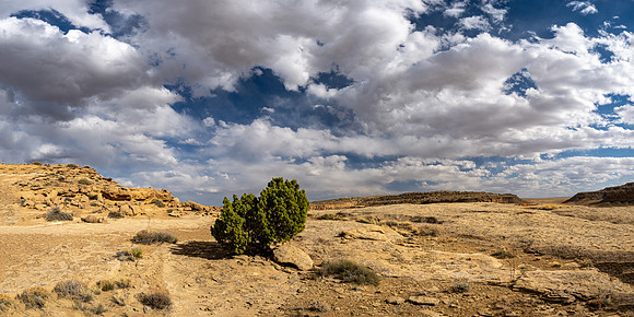 New Mexico 2025