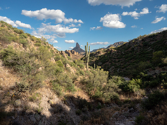 Arizona 2019
