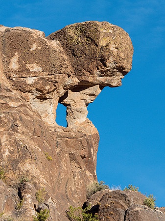 Arizona 2018