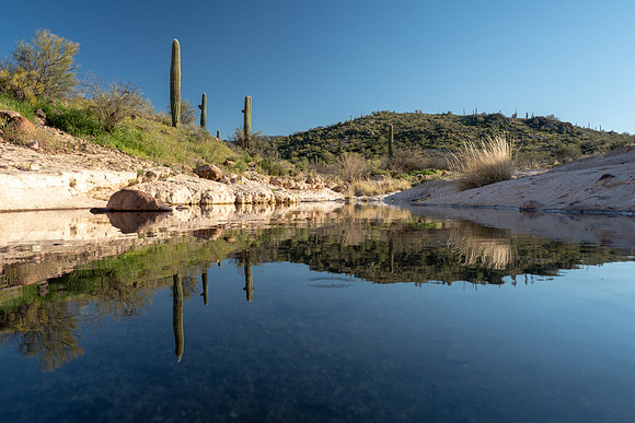 Arizona 2019