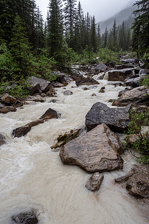 Pacific NW 2019