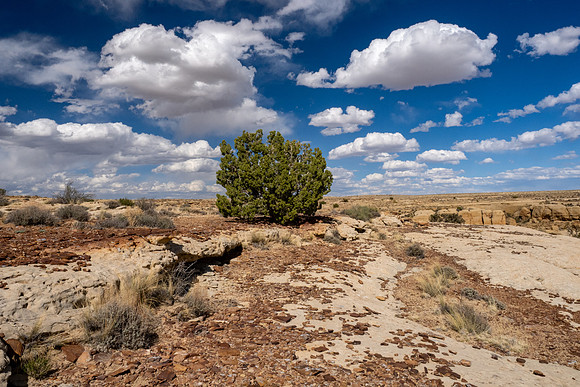 New Mexico 2025