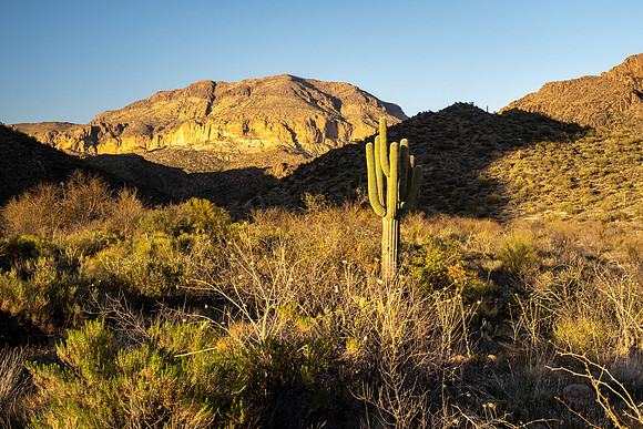 Arizona 2021