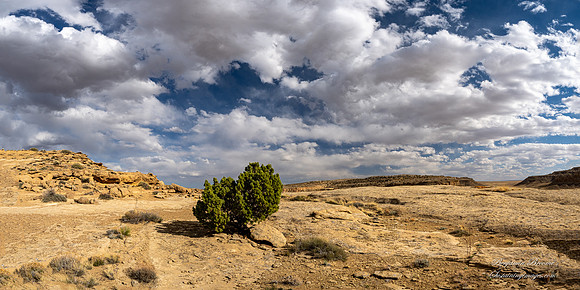 New Mexico 2025