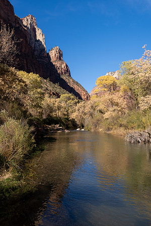 Zion National Park 2024