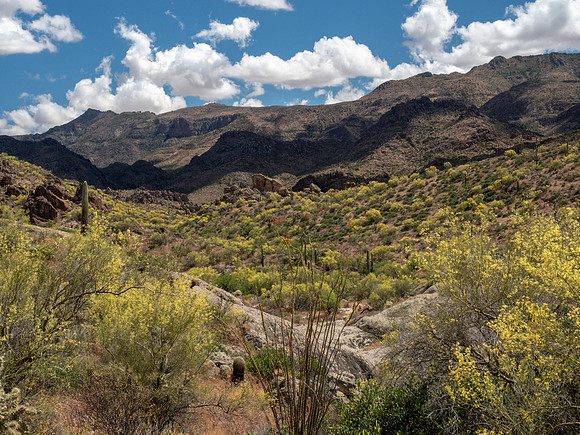 Arizona 2019