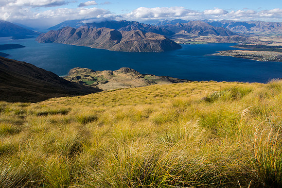 New Zealand 2013