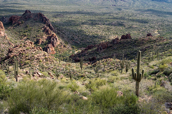 Arizona 2019