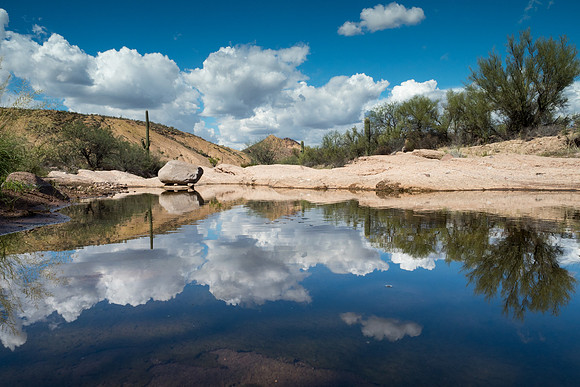 Arizona 2018