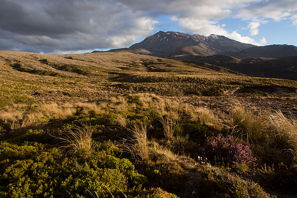 New Zealand 2013