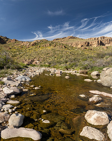 Arizona 2020
