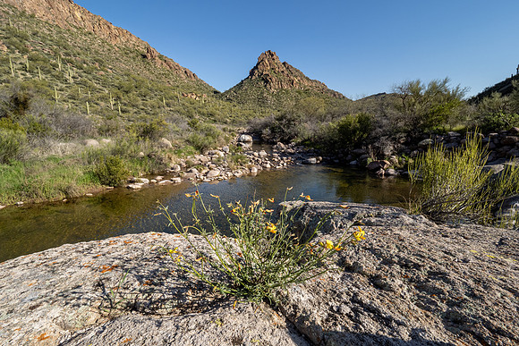 Arizona 2020