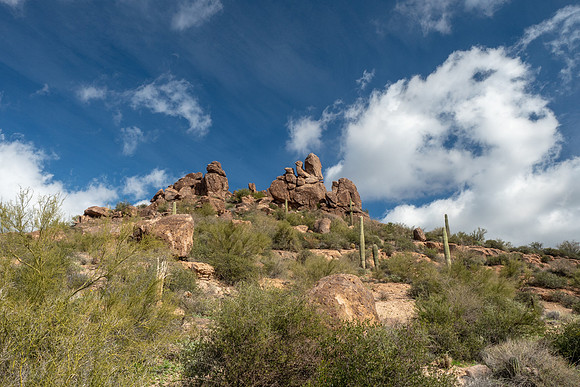 Arizona 2019