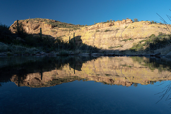 Arizona 2019