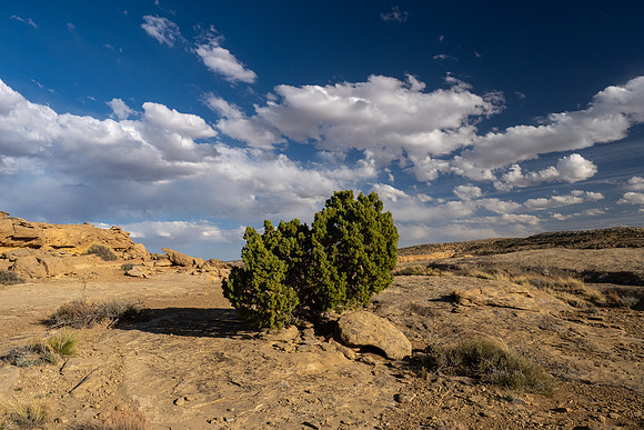 New Mexico 2025