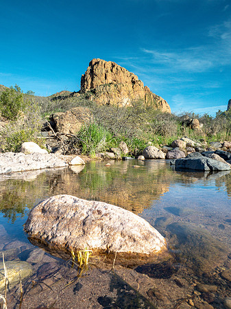 Arizona 2019