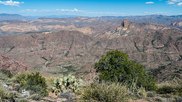 Arizona 2015 - Superstitions Ridge Hike (Mar)