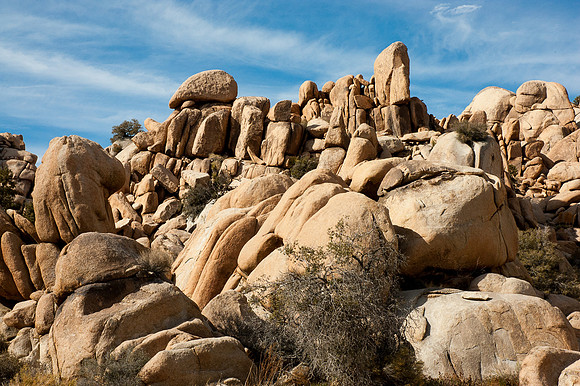Joshua Tree National Park