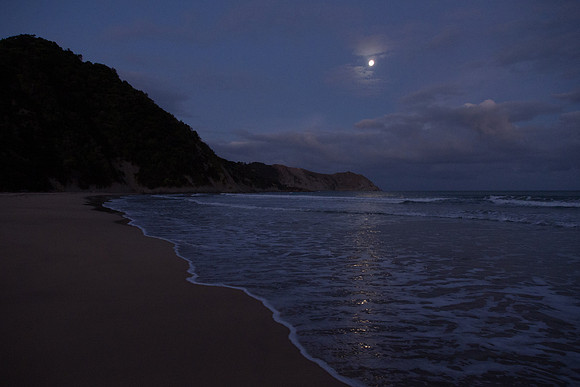 New Zealand 2013