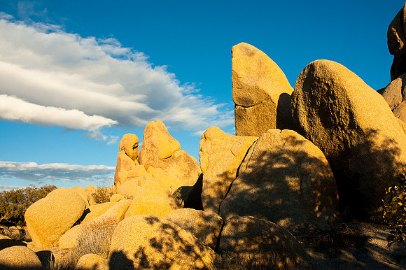 Joshua Tree National Park