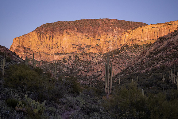 Arizona 2020