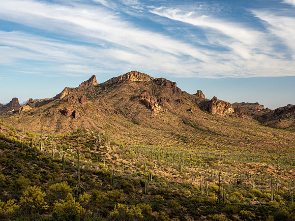 Arizona 2019