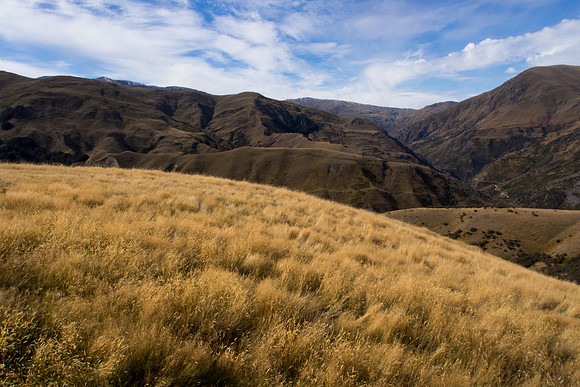 New Zealand 2013