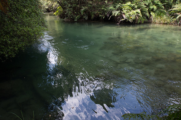 New Zealand 2013