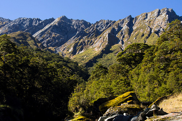 New Zealand 2013