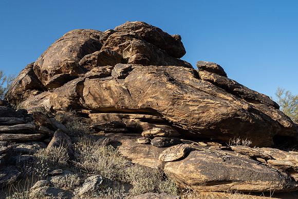 Arizona 2021