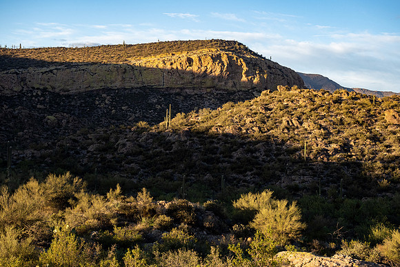Arizona 2021