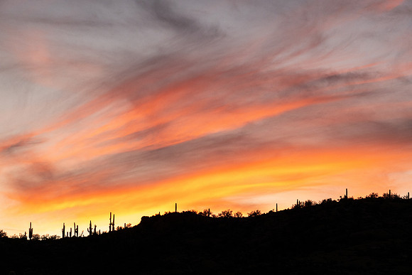 Arizona 2020