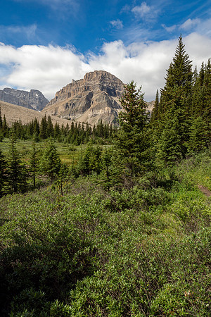 Banff National Park 2025