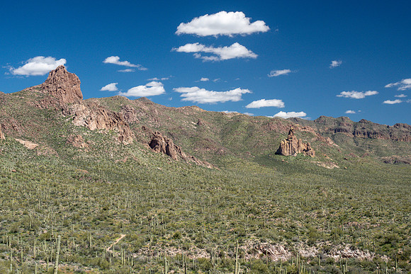 Arizona 2019