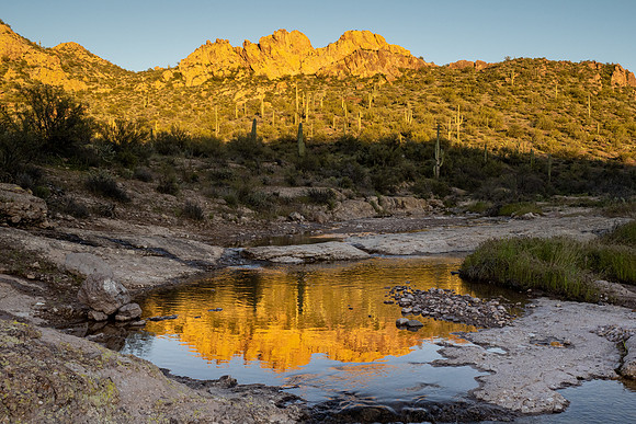 Arizona 2020