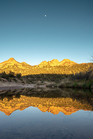 Arizona 2019