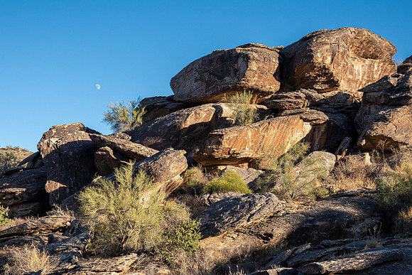Arizona 2020