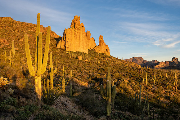 Arizona 2019