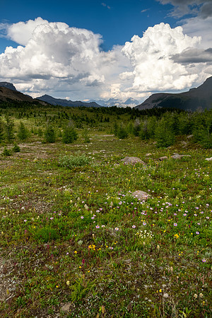 Banff National Park 2025
