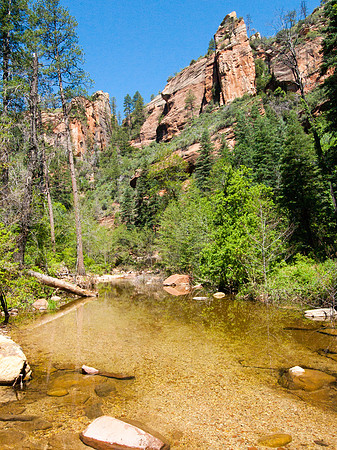Arizona 2005